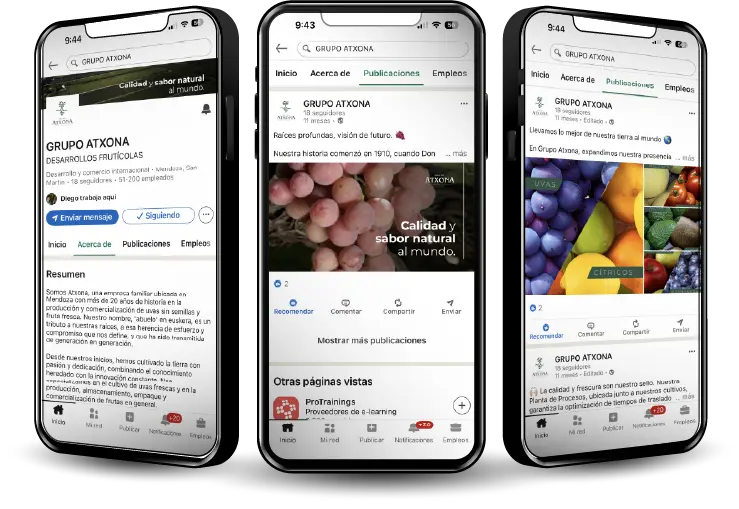 redes sociales de Atxona