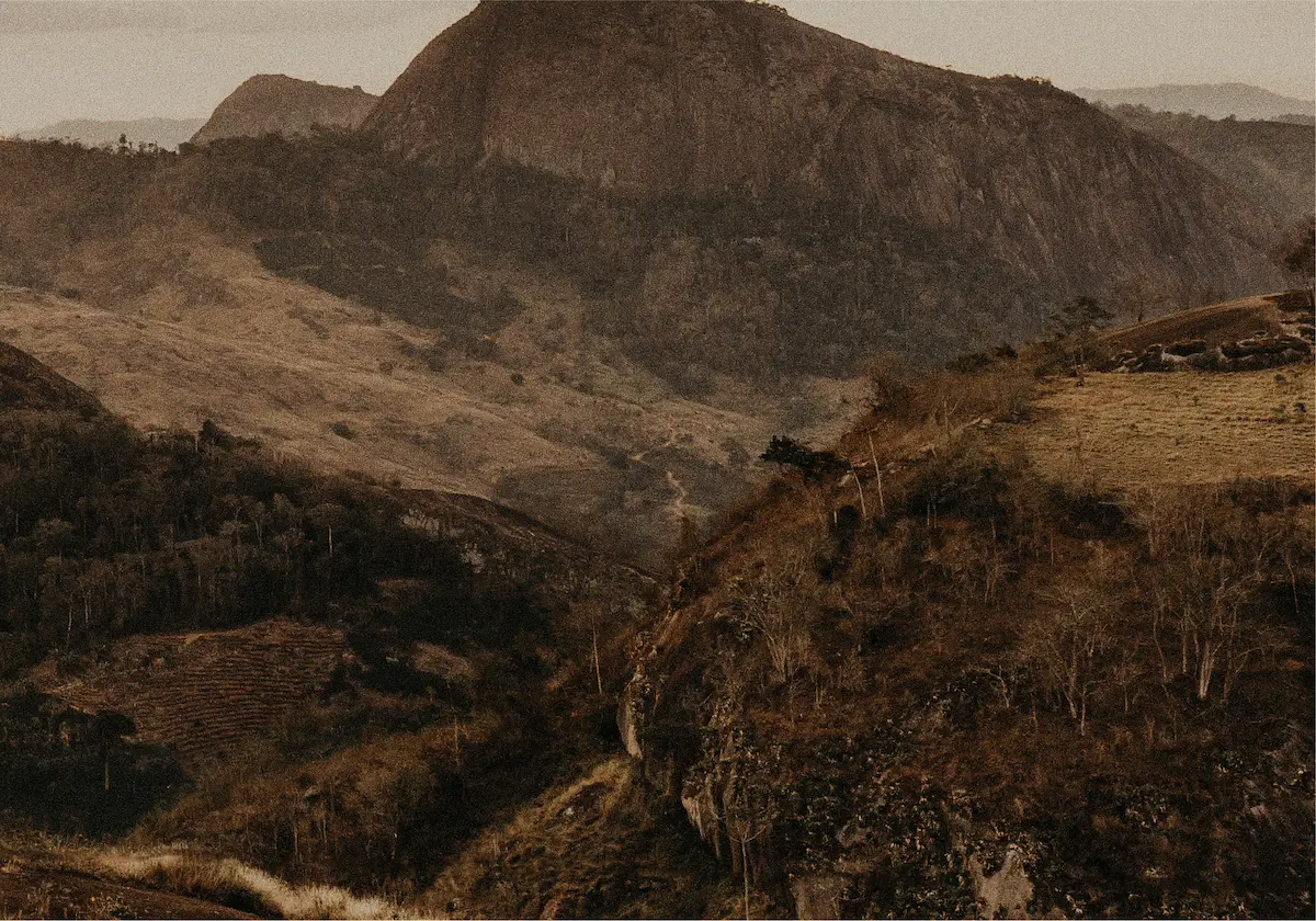 Imagen de Pacha Magma